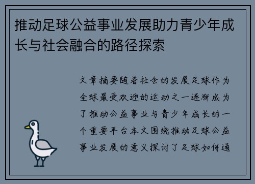 推动足球公益事业发展助力青少年成长与社会融合的路径探索