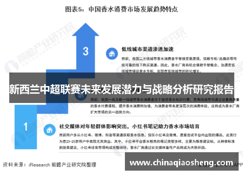 新西兰中超联赛未来发展潜力与战略分析研究报告