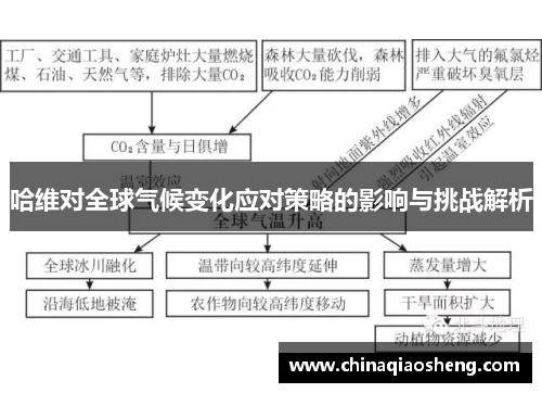 哈维对全球气候变化应对策略的影响与挑战解析