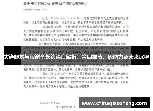 大连鲲城与穆谢奎长约深度解析：合同细节、影响力及未来展望