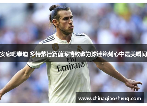 安息吧泰迪 多特蒙德赛前深情致敬为球迷铭刻心中最美瞬间